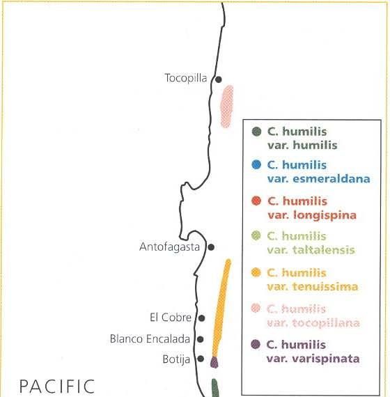 Нажмите на изображение для увеличения.   Название:	map_3-1.jpg  Просмотров:	12  Размер:	26.1 Кб  ID:	463683