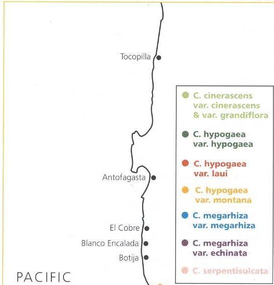 Нажмите на изображение для увеличения.   Название:	map_4-1.jpg  Просмотров:	12  Размер:	28.5 Кб  ID:	463686