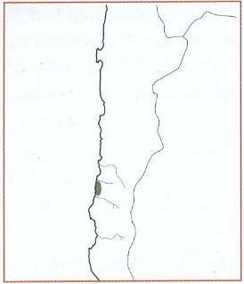 Нажмите на изображение для увеличения.   Название:	map_cinerea_v_dealbata.jpg  Просмотров:	5  Размер:	8.1 Кб  ID:	463891