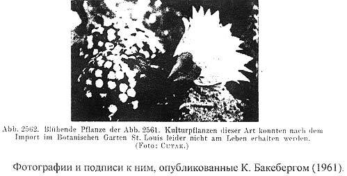 Нажмите на изображение для увеличения.

Название:	luethu003.jpg
Просмотров:	308
Размер:	24.6 Кб
ID:	468524