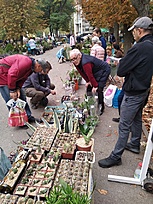 Нажмите на изображение для увеличения.  Название:	IMG_20191005_093237.jpg Просмотров:	486 Размер:	344.5 Кб ID:	468678