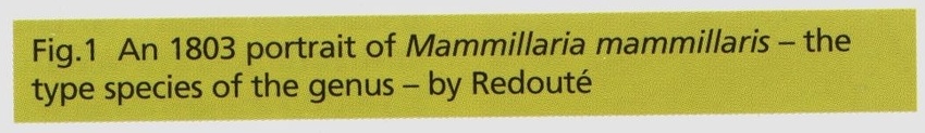 Нажмите на изображение для увеличения.

Название:	Mammillaria_1-1.jpg
Просмотров:	269
Размер:	47.8 Кб
ID:	468794