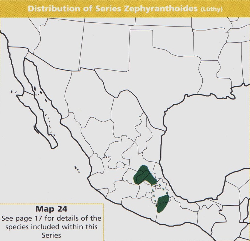 Нажмите на изображение для увеличения.   Название:	Mammillaria_map_24.jpg  Просмотров:	4  Размер:	151.3 Кб  ID:	468824