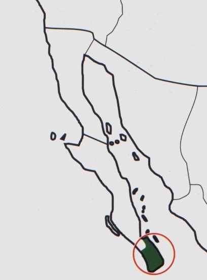 Нажмите на изображение для увеличения.   Название:	Mammillaria_armillata_map.jpg  Просмотров:	0  Размер:	65.2 Кб  ID:	468887