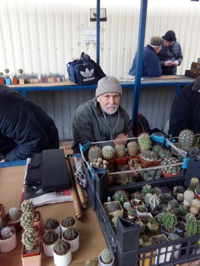 Нажмите на изображение для увеличения.

Название:	IMG-20191015-WA0005.jpg
Просмотров:	2159
Размер:	192.9 Кб
ID:	468930
