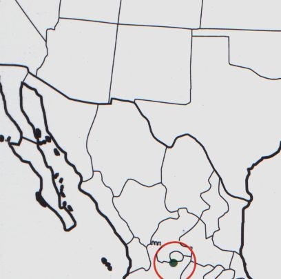 Нажмите на изображение для увеличения.

Название:	Mammillaria_bombycina_map.jpg
Просмотров:	350
Размер:	41.4 Кб
ID:	469980