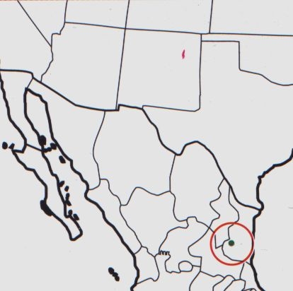 Нажмите на изображение для увеличения.

Название:	Mammillaria_carmenae_map.jpg
Просмотров:	253
Размер:	42.0 Кб
ID:	470021