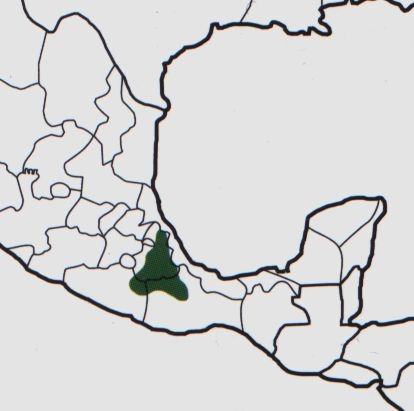 Нажмите на изображение для увеличения.

Название:	Mammillaria_carnea_map.jpg
Просмотров:	217
Размер:	40.8 Кб
ID:	470025