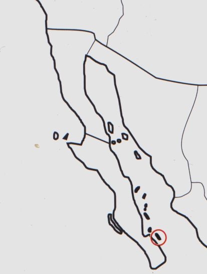 Нажмите на изображение для увеличения.

Название:	Mammillaria_cerralboa_map.jpg
Просмотров:	228
Размер:	31.3 Кб
ID:	470029