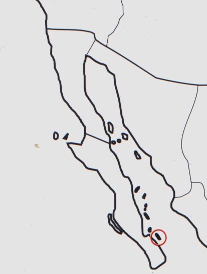 Нажмите на изображение для увеличения.

Название:	Mammillaria_cerralboa_map.jpg
Просмотров:	176
Размер:	31.3 Кб
ID:	470029