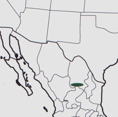 Нажмите на изображение для увеличения.

Название:	Mammillaria_coahuilensis_s_coahuilensis_map.jpg
Просмотров:	214
Размер:	39.4 Кб
ID:	470034