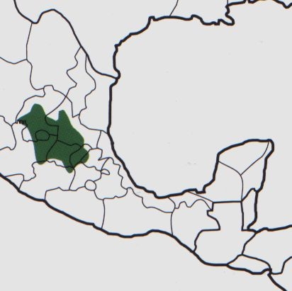 Нажмите на изображение для увеличения.

Название:	Mammillaria_crinita_s_crinita_map.jpg
Просмотров:	240
Размер:	40.0 Кб
ID:	470054