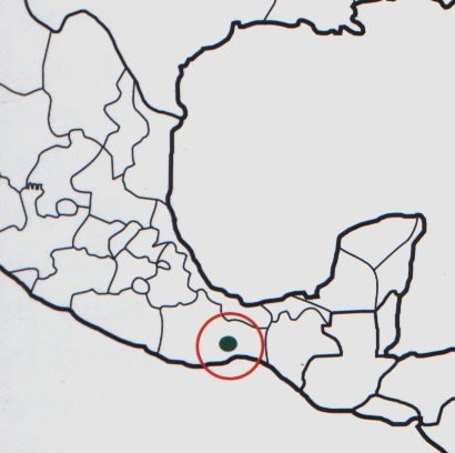 Нажмите на изображение для увеличения.

Название:	Mammillaria_deherdtiana_s_dodsonii_map.jpg
Просмотров:	209
Размер:	44.2 Кб
ID:	470161