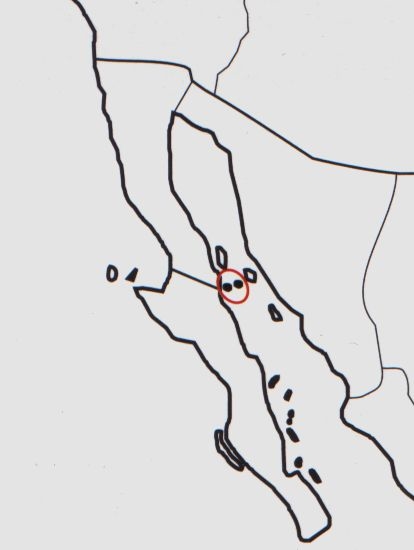 Нажмите на изображение для увеличения.

Название:	Mammillaria_estebanensis_map.jpg
Просмотров:	443
Размер:	32.4 Кб
ID:	470206