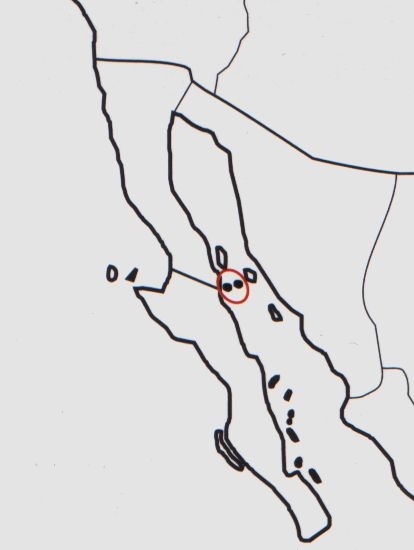 Нажмите на изображение для увеличения.

Название:	Mammillaria_estebanensis_map.jpg
Просмотров:	373
Размер:	32.4 Кб
ID:	470206