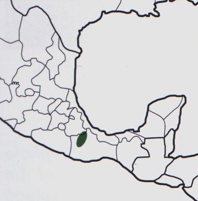 Нажмите на изображение для увеличения.

Название:	Mammillaria_flavicentra_map.jpg
Просмотров:	427
Размер:	42.7 Кб
ID:	470212