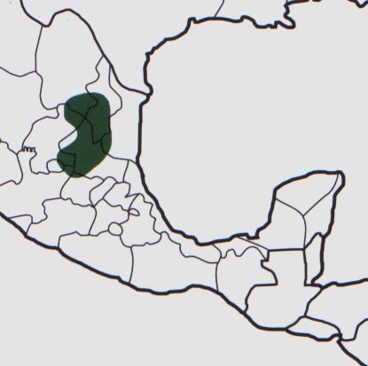Нажмите на изображение для увеличения.

Название:	Mammillaria_formosa_s_formosa_map.jpg
Просмотров:	434
Размер:	39.5 Кб
ID:	470215