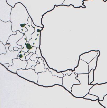 Нажмите на изображение для увеличения.

Название:	Mammillaria_formosa_s_microthele_map.jpg
Просмотров:	424
Размер:	43.8 Кб
ID:	470217