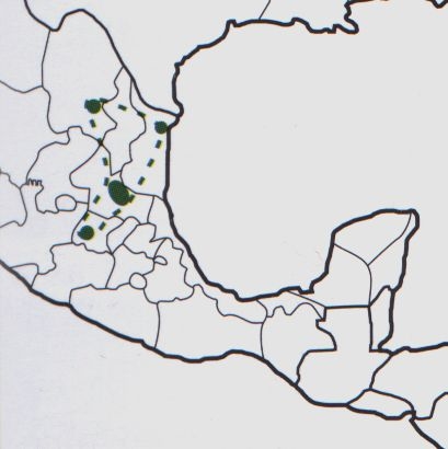 Нажмите на изображение для увеличения.

Название:	Mammillaria_formosa_s_microthele_map.jpg
Просмотров:	353
Размер:	43.8 Кб
ID:	470217