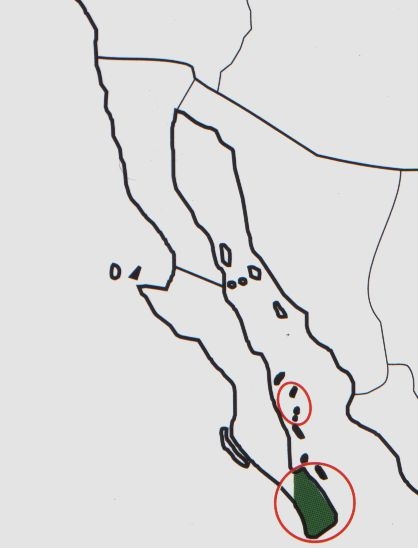 Нажмите на изображение для увеличения.

Название:	Mammillaria_fraileana_map.jpg
Просмотров:	466
Размер:	35.1 Кб
ID:	470223