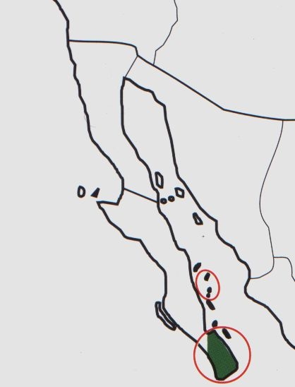 Нажмите на изображение для увеличения.

Название:	Mammillaria_fraileana_map.jpg
Просмотров:	385
Размер:	35.1 Кб
ID:	470223