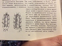 Нажмите на изображение для увеличения.  Название:	B8A09D47-8BFE-4F1A-B13F-D8AB4E85B4CF.jpeg Просмотров:	0 Размер:	203.6 Кб ID:	474436