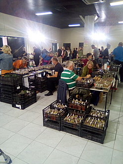 Нажмите на изображение для увеличения.

Название:	IMG_20200906_155757.jpg
Просмотров:	1046
Размер:	216.4 Кб
ID:	477649