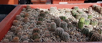 Нажмите на изображение для увеличения.

Название:	20200922_104551.jpg
Просмотров:	700
Размер:	164.2 Кб
ID:	478390
