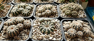Нажмите на изображение для увеличения.

Название:	20200922_104657.jpg
Просмотров:	679
Размер:	191.2 Кб
ID:	478392