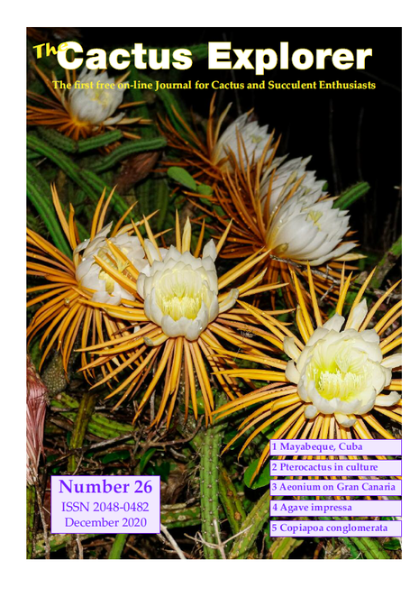 Нажмите на изображение для увеличения.

Название:	The_Cactus_Explorer_26.png
Просмотров:	520
Размер:	509.8 Кб
ID:	482229