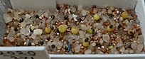 Нажмите на изображение для увеличения.

Название:	Discocactus araneispinus MH733.jpg
Просмотров:	981
Размер:	103.3 Кб
ID:	486348