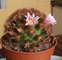 Нажмите на изображение для увеличения.

Название:	IMG_20210414_230305.jpg
Просмотров:	796
Размер:	266.7 Кб
ID:	490482