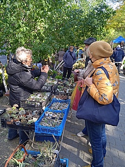 Нажмите на изображение для увеличения.

Название:	IMG_20211008_125338_1.jpg
Просмотров:	625
Размер:	337.4 Кб
ID:	505594