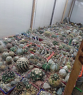 Нажмите на изображение для увеличения.

Название:	IMG_20211128_153658.jpg
Просмотров:	720
Размер:	330.9 Кб
ID:	507661
