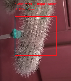 Нажмите на изображение для увеличения.  Название:	_доп_3.png Просмотров:	0 Размер:	373.6 Кб ID:	508876