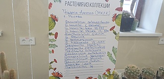 Нажмите на изображение для увеличения.

Название:	20220903_163827.jpg
Просмотров:	620
Размер:	104.6 Кб
ID:	516854