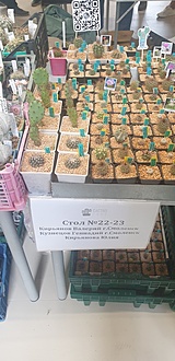 Нажмите на изображение для увеличения.

Название:	20220903_142526.jpg
Просмотров:	586
Размер:	157.4 Кб
ID:	516866