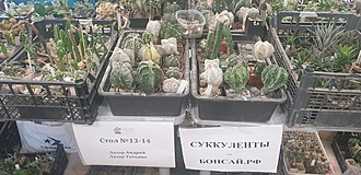 Нажмите на изображение для увеличения.

Название:	20220903_143523.jpg
Просмотров:	581
Размер:	178.2 Кб
ID:	516878