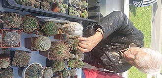 Нажмите на изображение для увеличения.

Название:	20220903_151235.jpg
Просмотров:	528
Размер:	175.1 Кб
ID:	516934