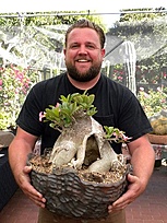 Нажмите на изображение для увеличения.

Название:	Adenium C&amp;S.jpg
Просмотров:	333
Размер:	103.4 Кб
ID:	518884