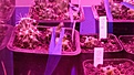 Нажмите на изображение для увеличения.

Название:	1676790349709.jpg
Просмотров:	1073
Размер:	146.3 Кб
ID:	519950