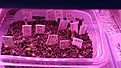 Нажмите на изображение для увеличения.

Название:	1676789753148.jpg
Просмотров:	1073
Размер:	162.7 Кб
ID:	519952