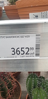 Нажмите на изображение для увеличения.

Название:	20240203_194412[1].jpg
Просмотров:	690
Размер:	102.7 Кб
ID:	526520