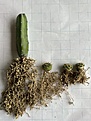 Нажмите на изображение для увеличения.

Название:	IMG_0483.jpg
Просмотров:	715
Размер:	223.8 Кб
ID:	527040
