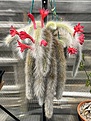 Нажмите на изображение для увеличения.

Название:	IMG_0714.jpg
Просмотров:	372
Размер:	286.0 Кб
ID:	529929