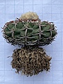 Нажмите на изображение для увеличения.

Название:	IMG_0756.jpg
Просмотров:	715
Размер:	224.7 Кб
ID:	530337