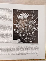 Нажмите на изображение для увеличения.  Название:	k6.jpg Просмотров:	203 Размер:	222.1 Кб ID:	533181