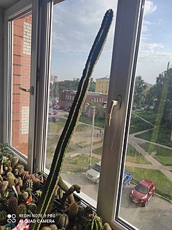 Нажмите на изображение для увеличения.

Название:	WhatsApp Image 2025-05-31 at 17.25.10.jpg
Просмотров:	125
Размер:	189.3 Кб
ID:	538440