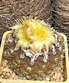 Нажмите на изображение для увеличения.

Название:	IMG_1298.jpg
Просмотров:	421
Размер:	285.7 Кб
ID:	538495