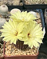 Нажмите на изображение для увеличения.

Название:	IMG_1356.jpg
Просмотров:	114
Размер:	193.0 Кб
ID:	538979